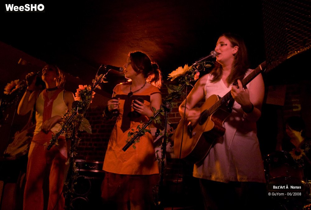 26/35 photos du spectacle Baz'Art à Nanas